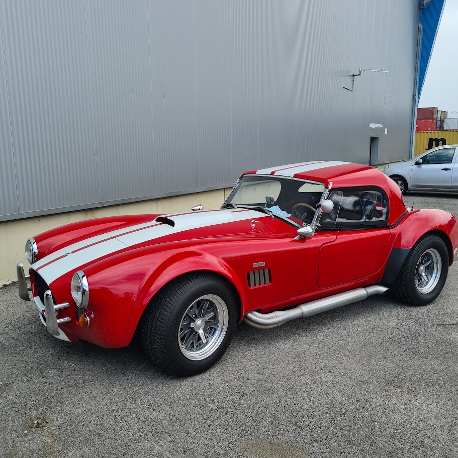 שלבי קוברה קלאסית עם פסים לבנים על כביש כפרי